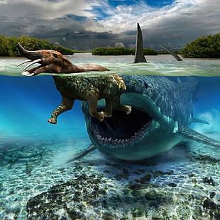 shark and elephant under water HD wallpaper