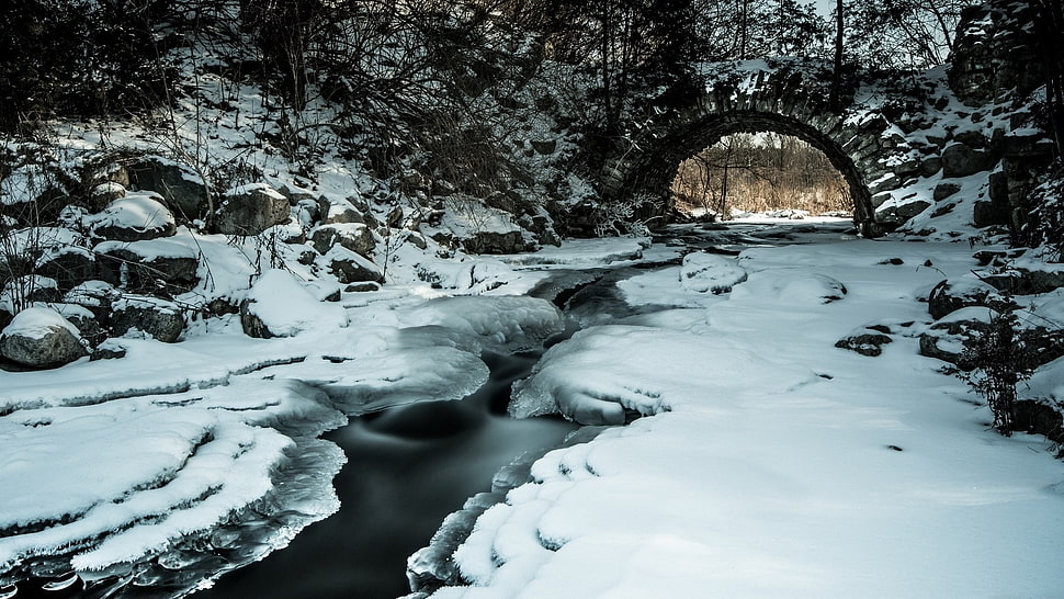 snowy river, nature, winter, ice, landscape HD wallpaper