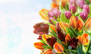 red, brown, orange, and green flowers