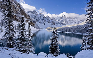 green leafed trees, nature, winter, snow, Moraine Lake HD wallpaper