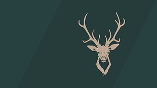 reindeer illustration, minimalism, Buck, antlers, simple background