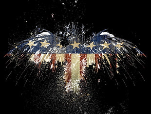 United States of America eagle illustration, eagle, flag, black, USA
