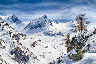 landscape photo of snowy mountain under clear blue sky HD wallpaper