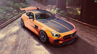 orange and black coupe, car, 3D graphics, nature, planks