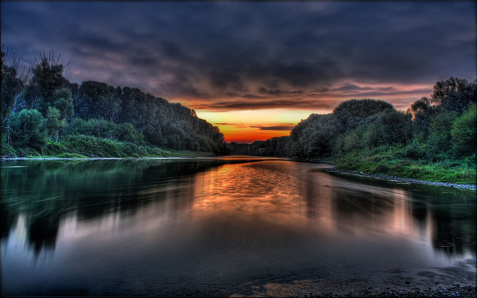 river surrounded by green trees during sunset HD wallpaper