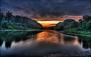 river surrounded by green trees during sunset