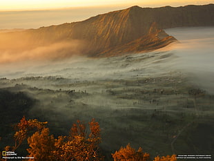 brown mountain photo, landscape, mist, National Geographic, nature HD wallpaper
