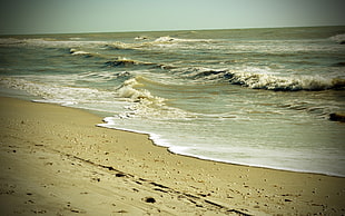 seashore during daytime