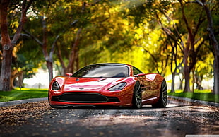 red sports car, Aston Martin, red cars, trees, car