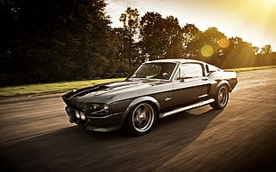 black Ford Mustang, car, Ford, Ford Mustang HD wallpaper