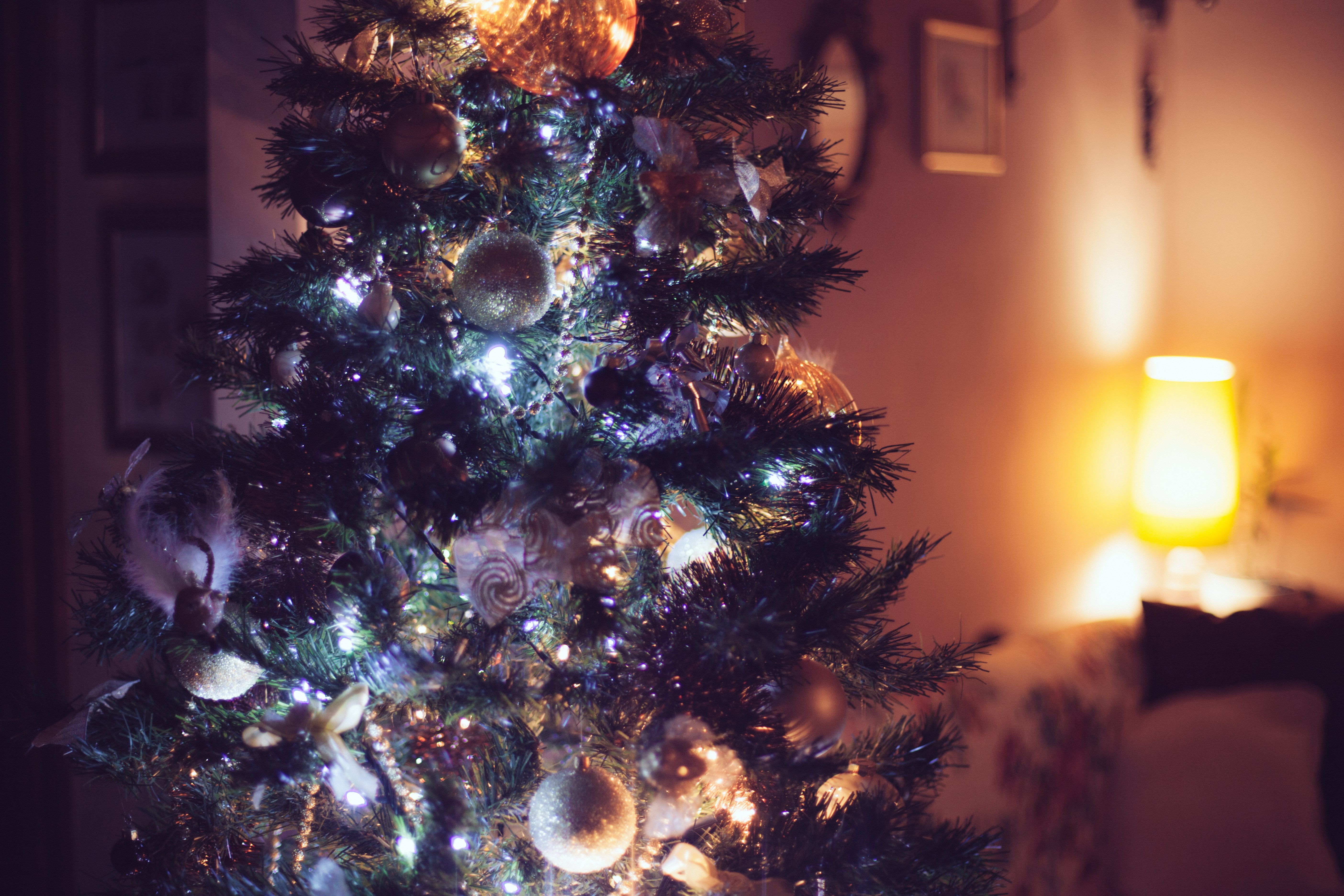 blue and gray Christmas tree beside the wall