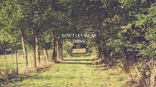 green leafed tree with text overlay, Twenty One Pilots, Goner, top