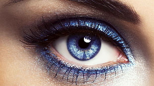 blue eye, blue eyes, eyelashes HD wallpaper