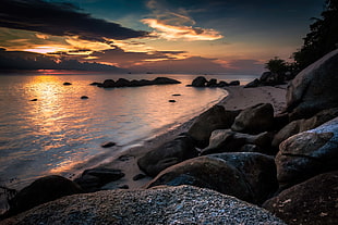 grey and brown boulders near seashore during golden hour HD wallpaper