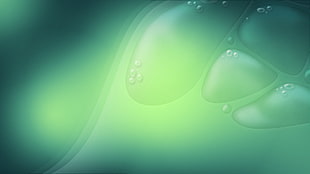 green rain drops wall paper