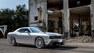 grey coupe, Dodge Challenger, Dodge, silver cars, ruin