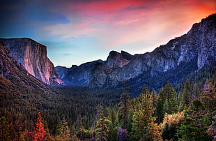 panoramic photo of mountains with trees, yosemite valley