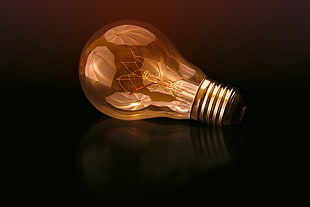 silver-colored base light bulb HD wallpaper