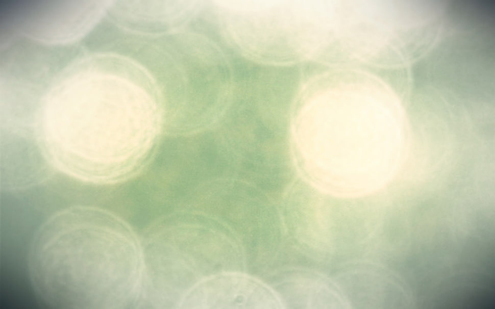 teal and white bokeh photography HD wallpaper
