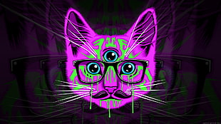 purple cat digital art, cat, psychedelic, glasses, mustache HD wallpaper