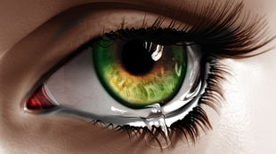 close-up photo of green human eye HD wallpaper