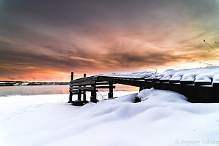 snowy wooden pathway photography