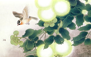 beige and white bird and green tree illustration, birds, flowers, nature