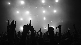 people raising hands under LED light in front of stage HD wallpaper