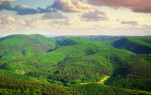 green tree covered hills during daytime