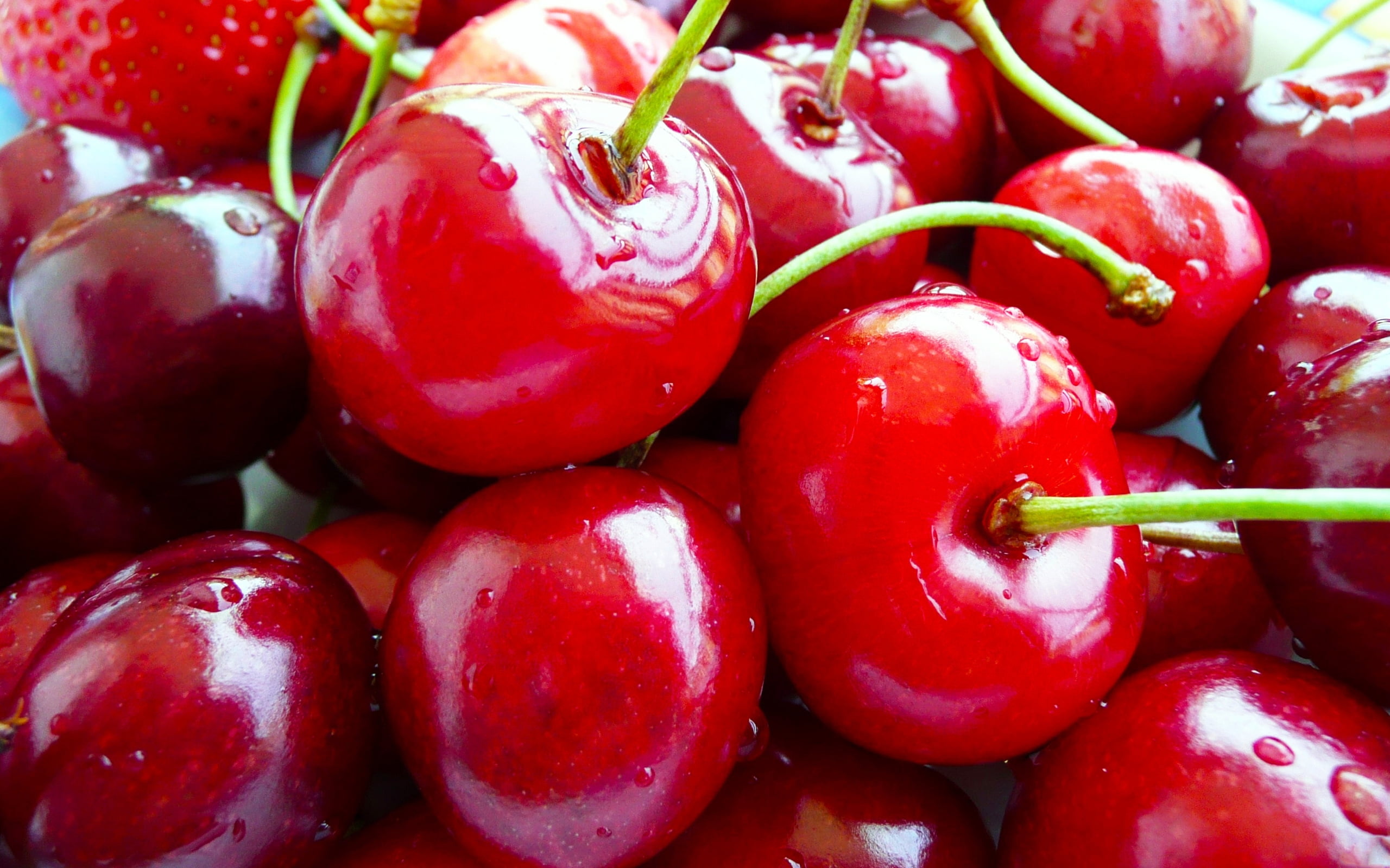 cherry fruit HD wallpaper.