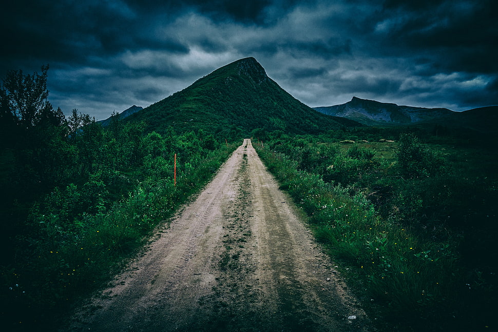green mountain, Path, Mountain, Green HD wallpaper