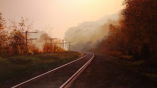 train rail, railway, painting