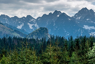 green mountain, Tatra mountains, Poland, Mountains