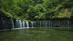 waterfalls, landscape, forest, waterfall, nature