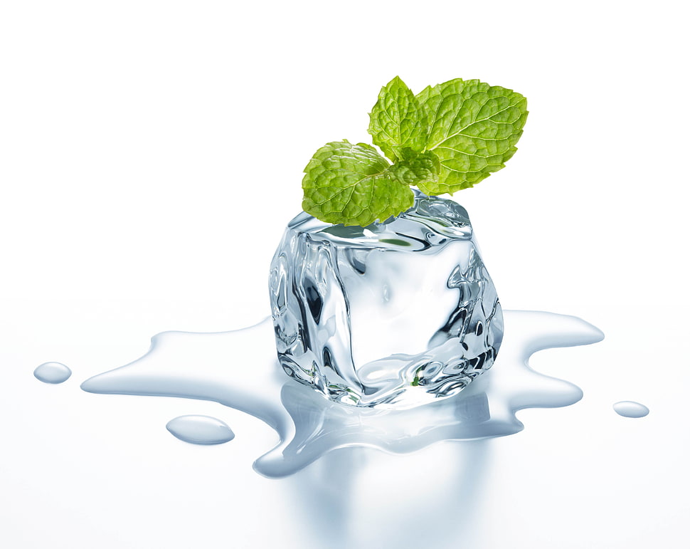 focus photography of ice cube and green tea leaf HD wallpaper