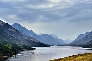 lake in the middle of green mountains during cloudy day, waterton lake, u.s.