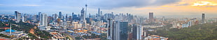 panoramic photography of city buildings, trees, sky, Sun, road HD wallpaper