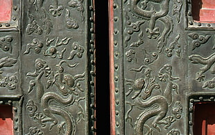 black steel dragon embossed door gate