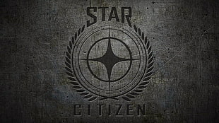 Star Citizen logo, space, Star Citizen, spaceship HD wallpaper