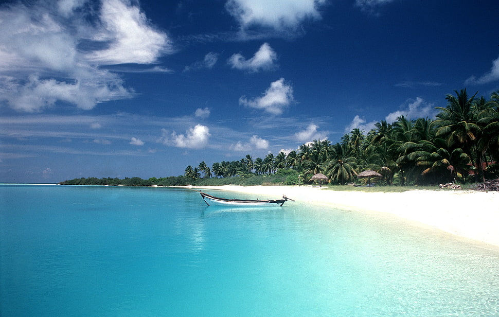 brown and white boat, beach, palm trees, boat, clouds HD wallpaper