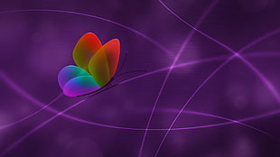 purple and red butterfly wallpaper