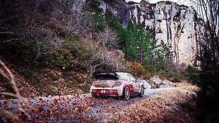 white and red coupe along highway near mountain and trees HD wallpaper