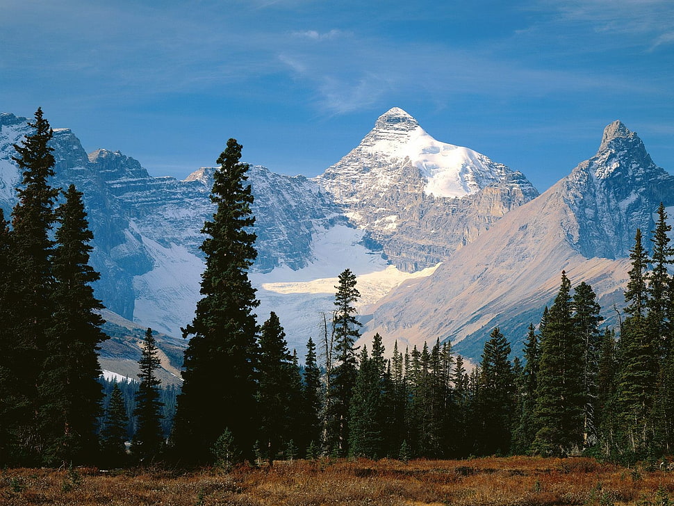 trees and mountains, mountains HD wallpaper