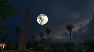 full moon over place with palm tress and concrete monument tower HD wallpaper