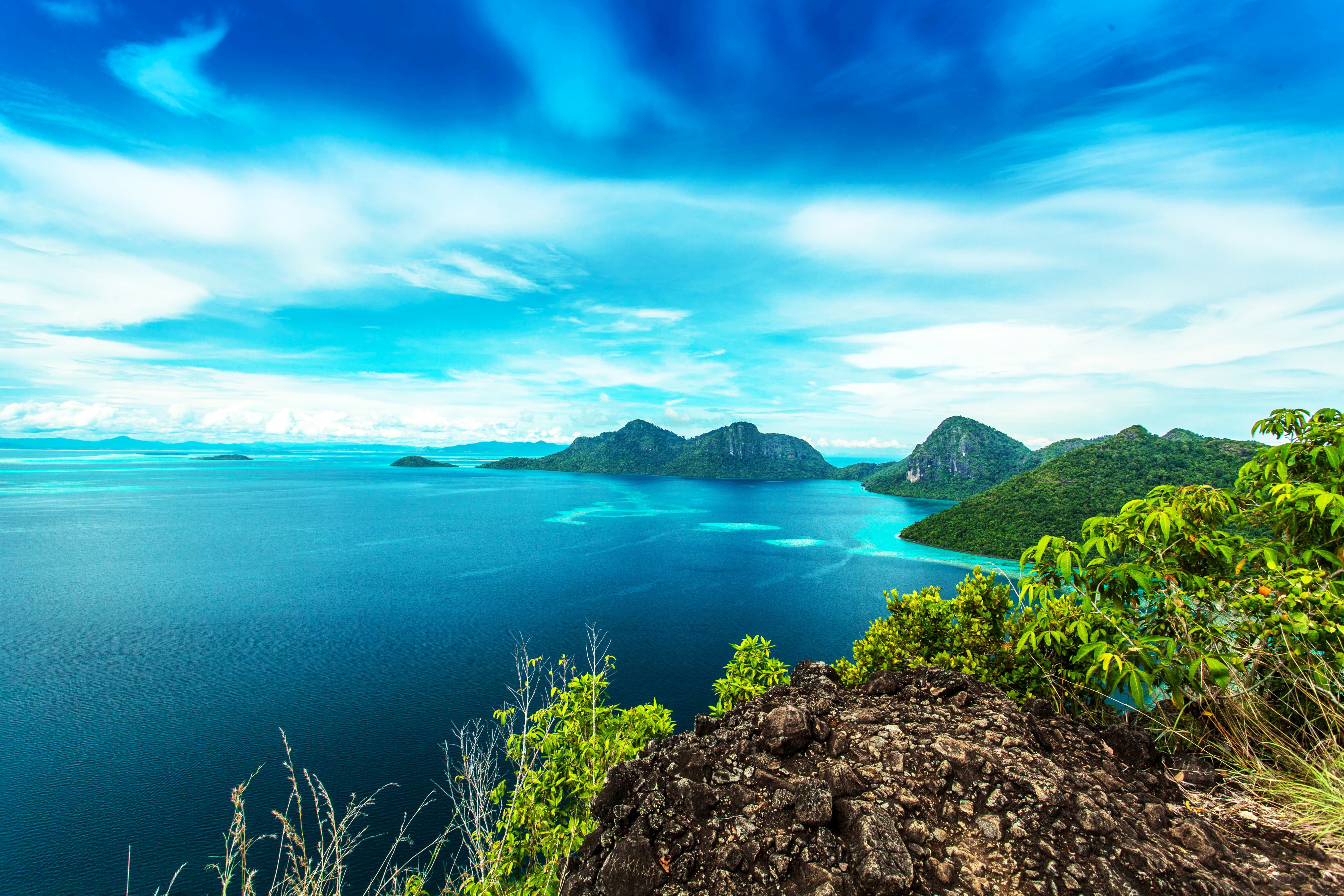 green grass and green grass, landscape, sea