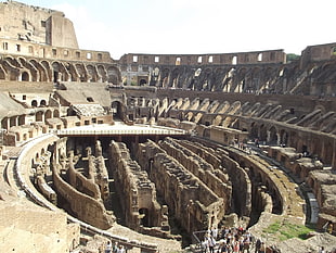 The Colosseum, Rome, Italy, Rome, Italy, nature, Colosseum HD wallpaper