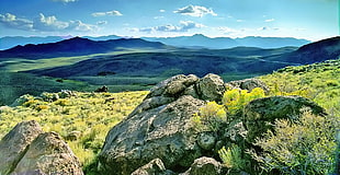 gray rocks surrounded by green grass