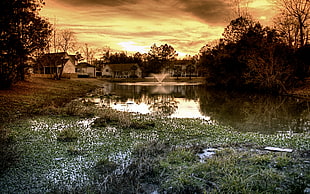 village near swamp during sunset