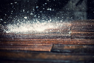 timelapse photography of rain drops hits on parquet floor