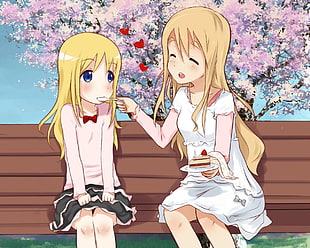 two yellow-haired female anime character sitting on brown wooden bench while eating cake